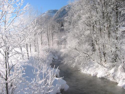 Bed & Breakfast Villa 7