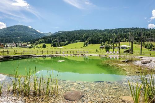 Hotel Almdorf Almlust