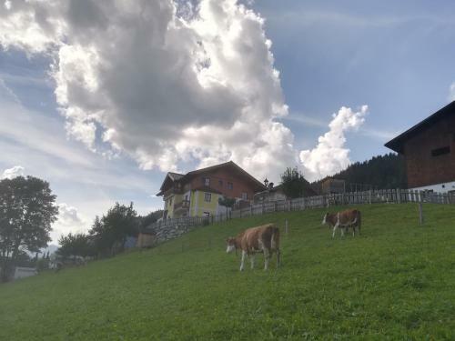 Agroturismo Bauernhof Unterbichl