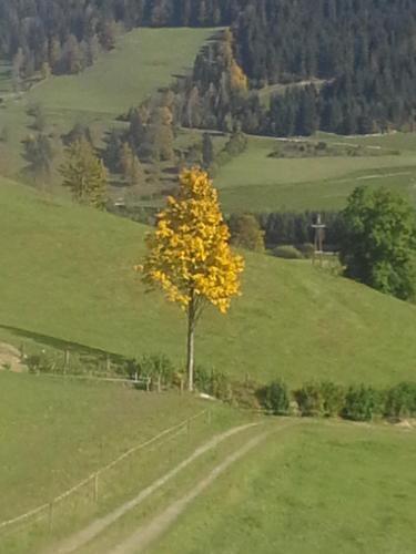 Agroturismo Bauernhof Unterbichl