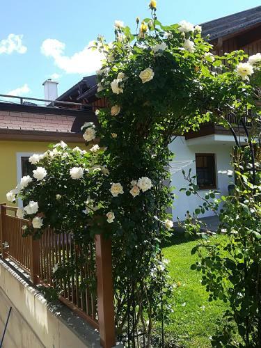 Agroturismo Bauernhof Unterbichl