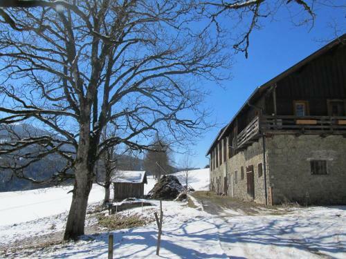 Ferienhaus Waldsicht