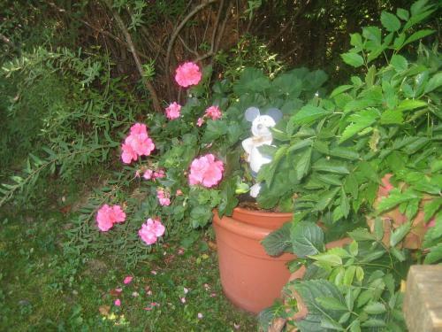 Apartamento Ferienhaus Steger Maria