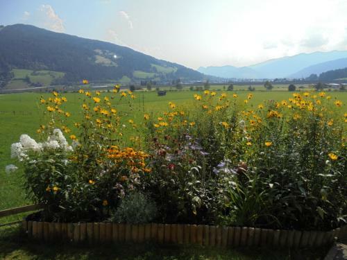 Apartamento Ferienhaus Steger Maria
