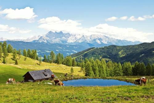 Apartamento Ferienhaus Steger Maria