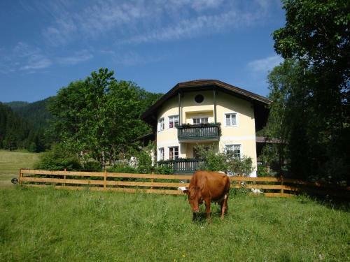 Apartments Geistlinger