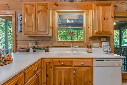 Coosawattee Cabin