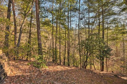 Pet-friendly Ellijay Cabin With Hot Tub In Ntl Forest