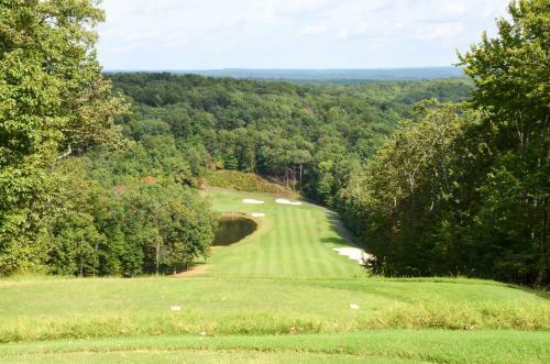 Pet-friendly Getaway With Big Canoe Resort Perks!
