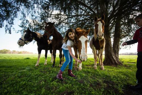Hotel Southern Cross Guest Ranch