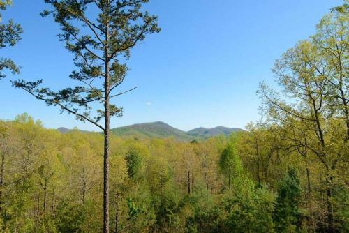 Daze Off By Escape To Blue Ridge