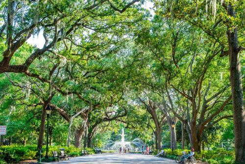 Apartamento 320 West Park Inn -cozy And Comfortable, In Downtown Savannah