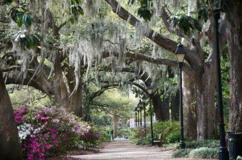 Apartamento 320 West Park Inn -cozy And Comfortable, In Downtown Savannah