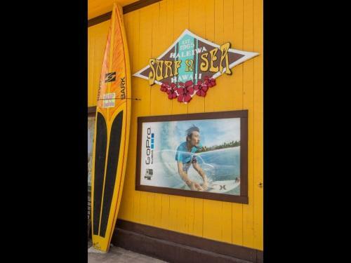 Haleiwa Sunshine Home