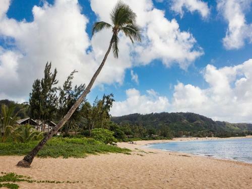 Haleiwa Sunshine Home