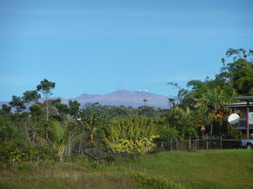 Heavenly Enchanting Waterfall In Hilo
