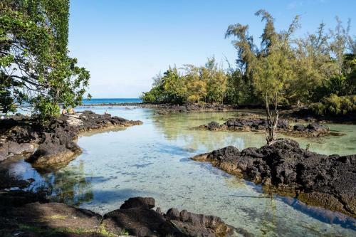 Apartamento Hilo Condo With Pool Steps From Carlsmith Beach Park!
