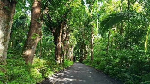 Apartamento Maluhia Kahakai Condo