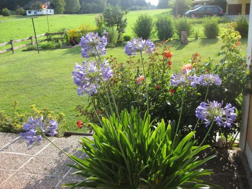 Hostal G�stehaus Stroitz