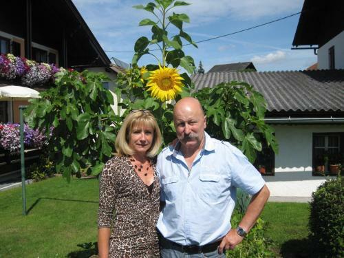 Hostal G�stehaus Stroitz