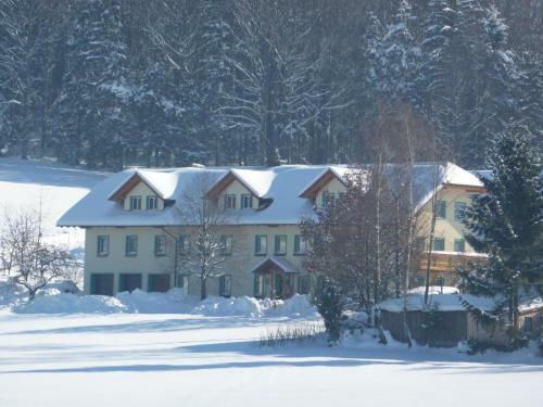 Hostal Gasthof Greiner