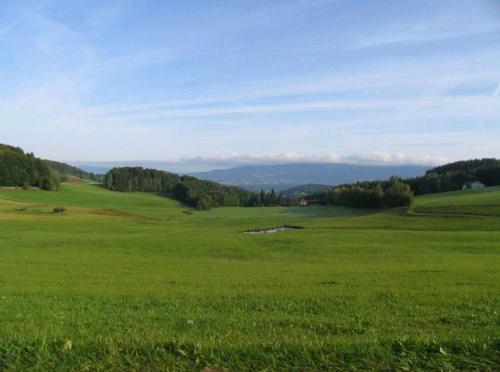Hostal Gasthof Greiner