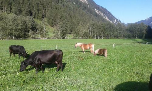 Posada Gasthaus H�usling Alm