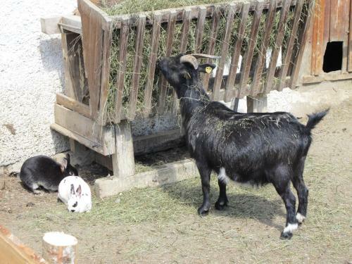 Agroturismo Fertinghof