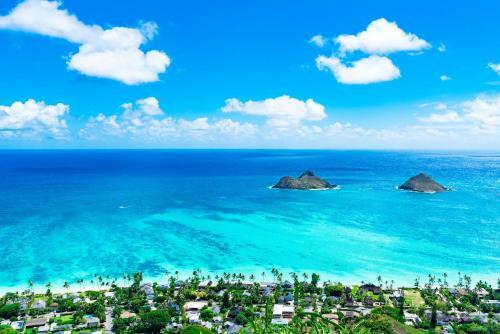 Hawaiian Monarch - Pool-view - Easy Walkability Hotel Room