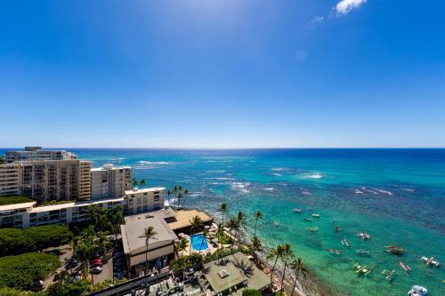 Colony Surf #1806