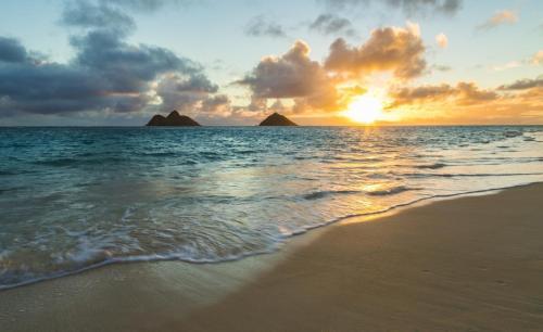 Hawaiian Monarch - Pool-view Studio - Hot Tub, Gym Hotel Room