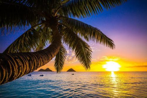 Apartamento Hawaiian Monarch - Canal-view Studio - Pool & Gym Condo