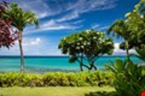 Apartamento Kuleana Resort 403