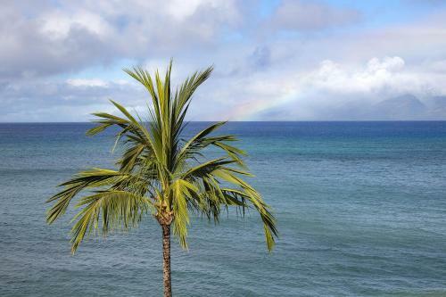 Apartamento Sands Of Kahana 336 Condo