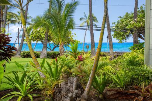 Apartamento Kona Islander Inn Condos