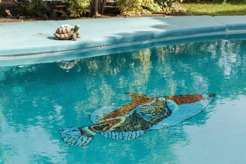 Apartamento Tropical Garden Studio - Pool On Property