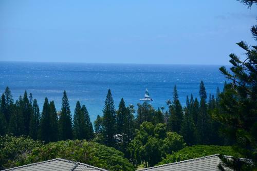 Apartamento Kapalua Golf Villa 25v2 Gold Ocean View