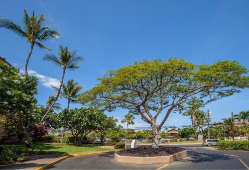 Maui Vista #2-423