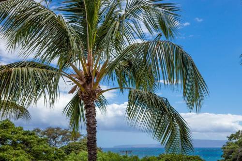 Maui Vista #2-423