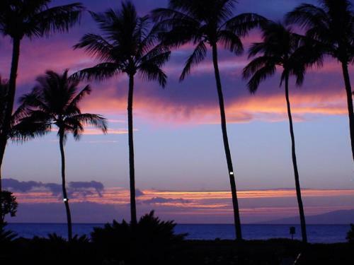 Waiohuli Beach Hale #d-221