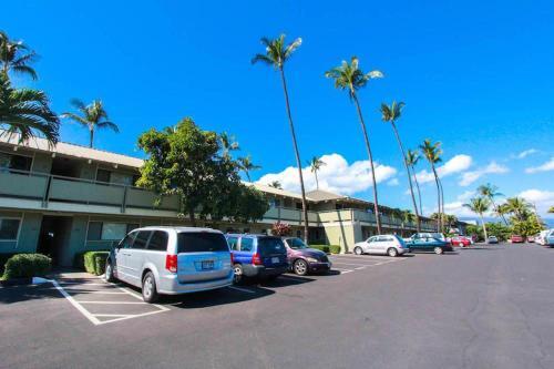 The Shores Of Maui #223