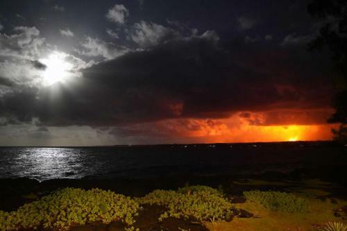 Big Island Oceanfront Home - Great Whale Watching!