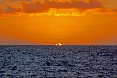 Big Island Oceanfront Home - Great Whale Watching!