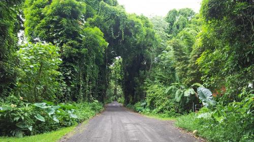 Hale O Makani Home