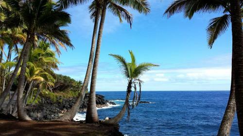 Hale O Makani Home