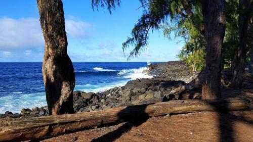 Hale O Makani Home