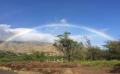 Molokai Shores