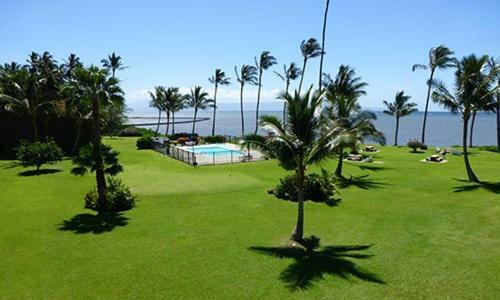 Molokai Shores