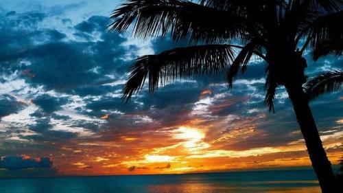 Molokai Shores