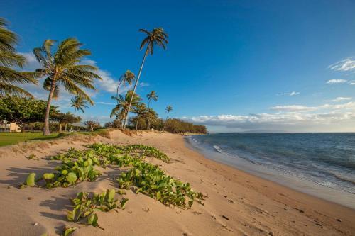 Maui Sunset #a-117